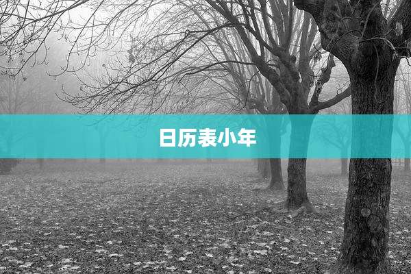 日历表小年