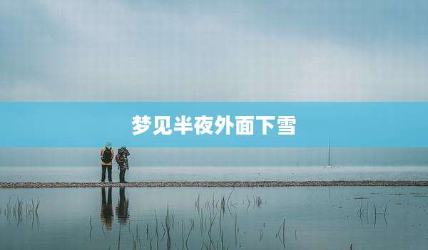 梦见半夜外面下雪