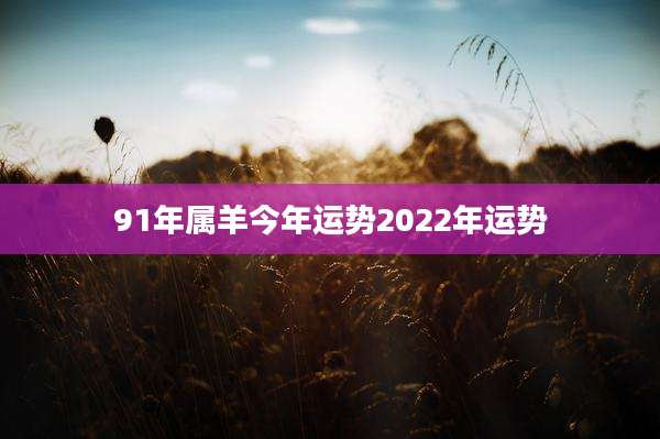 91年属羊今年运势2022年运势