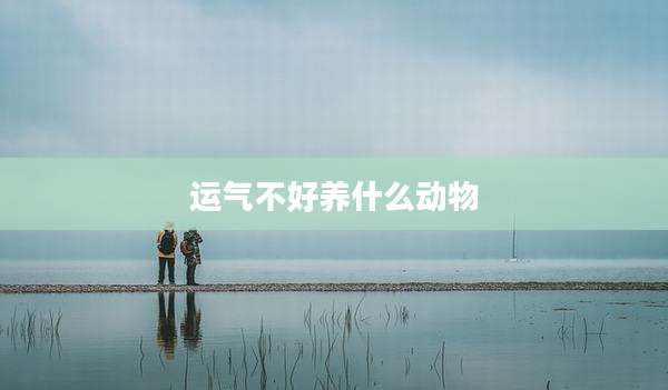运气不好养什么动物