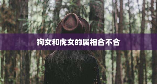 狗女和虎女的属相合不合