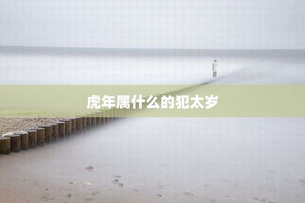 虎年属什么的犯太岁