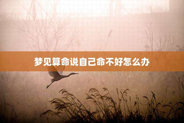 梦见算命说自己命不好怎么办