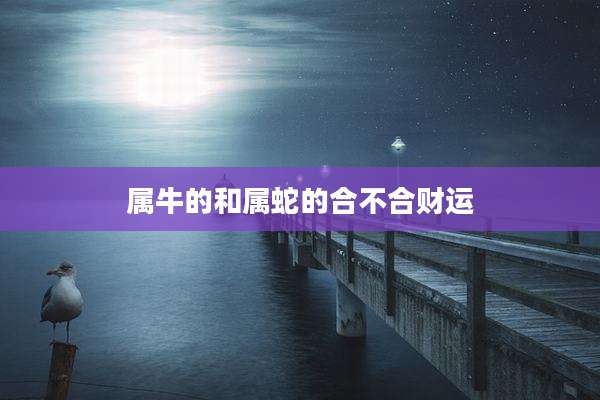 属牛的和属蛇的合不合财运