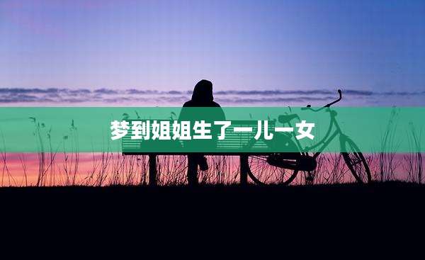 梦到姐姐生了一儿一女