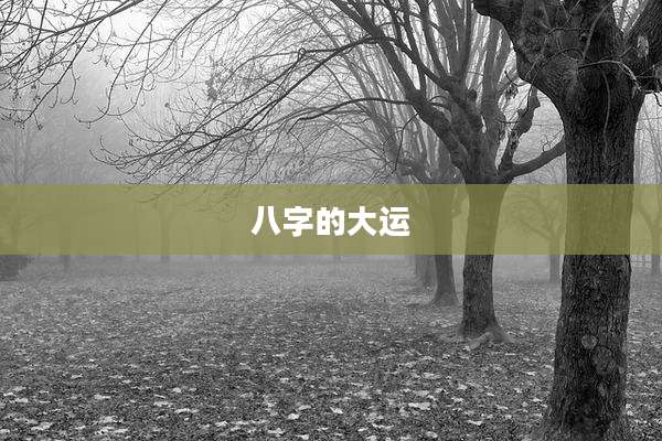 八字的大运