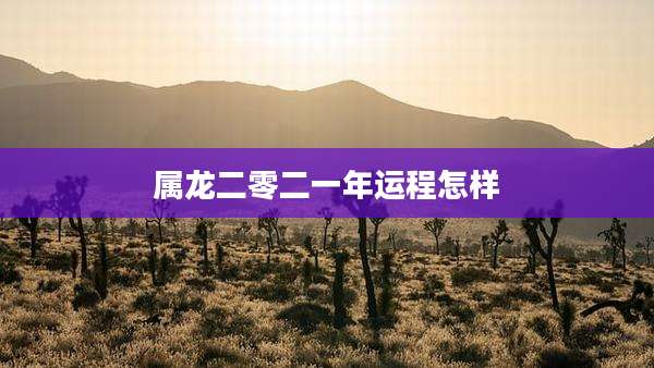 属龙二零二一年运程怎样