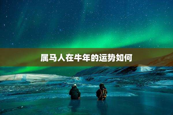 属马人在牛年的运势如何