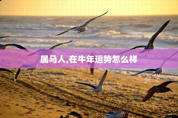 属马人,在牛年运势怎么样
