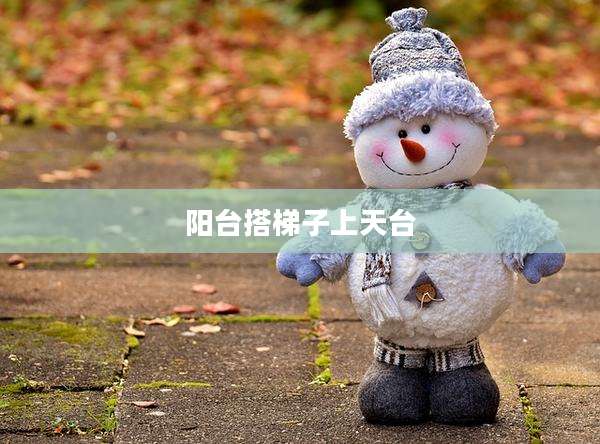 阳台搭梯子上天台