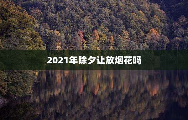 2021年除夕让放烟花吗
