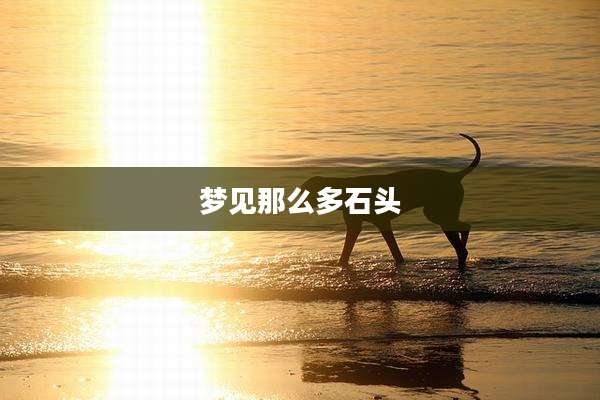 梦见那么多石头