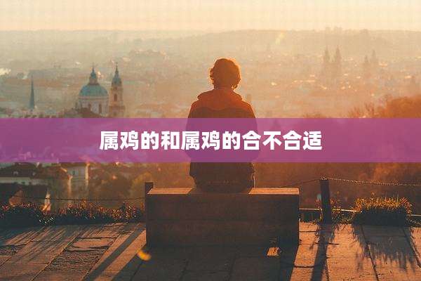 属鸡的和属鸡的合不合适