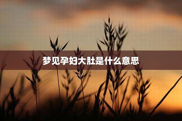 梦见孕妇大肚是什么意思