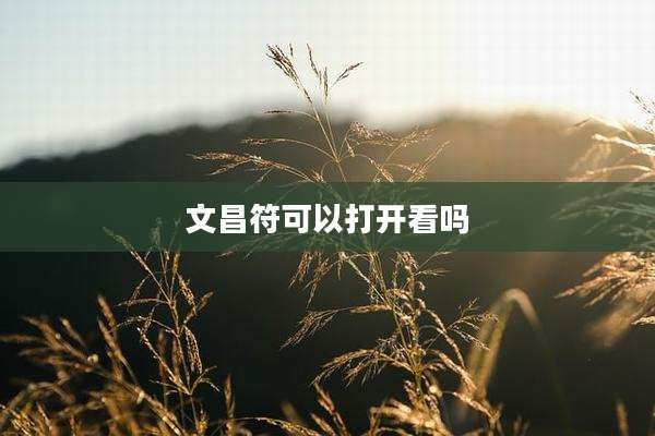 文昌符可以打开看吗
