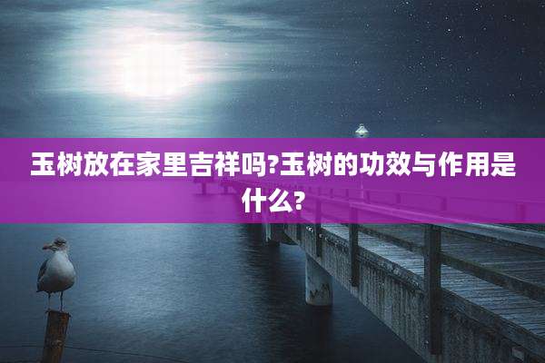 玉树放在家里吉祥吗?玉树的功效与作用是什么?