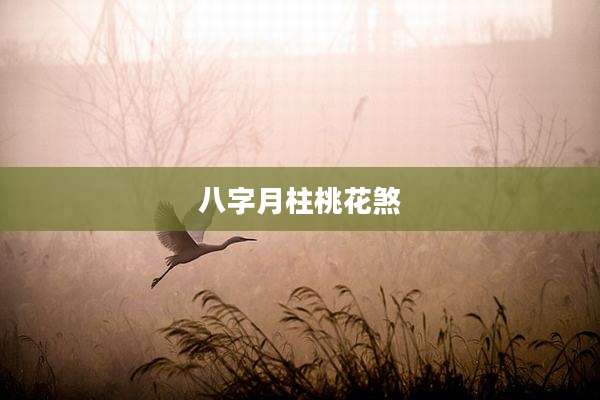 八字月柱桃花煞
