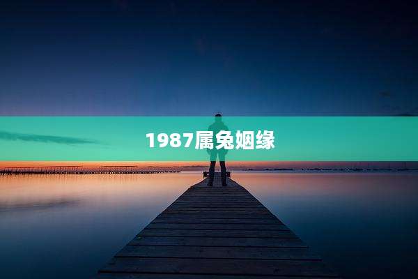 1987属兔姻缘