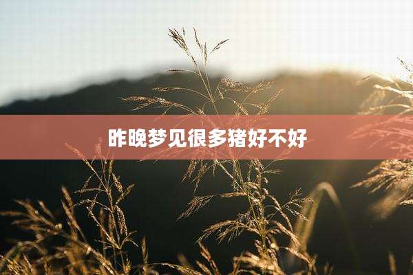 昨晚梦见很多猪好不好