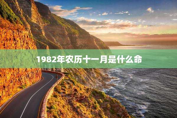 1982年农历十一月是什么命