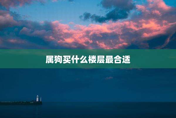 属狗买什么楼层最合适