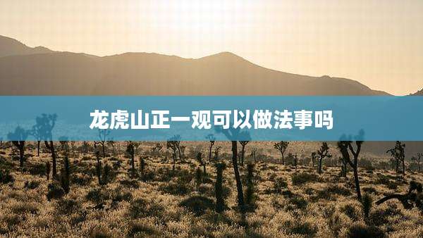 龙虎山正一观可以做法事吗