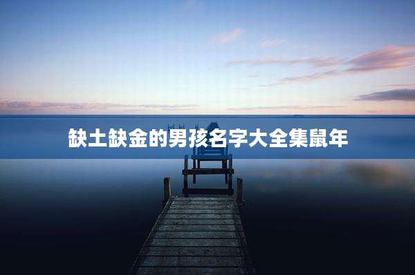 缺土缺金的男孩名字大全集鼠年