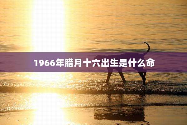 1966年腊月十六出生是什么命