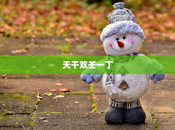 天干双壬一丁