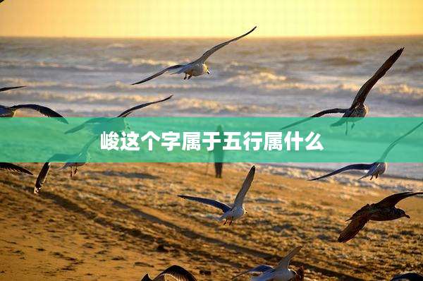 峻这个字属于五行属什么