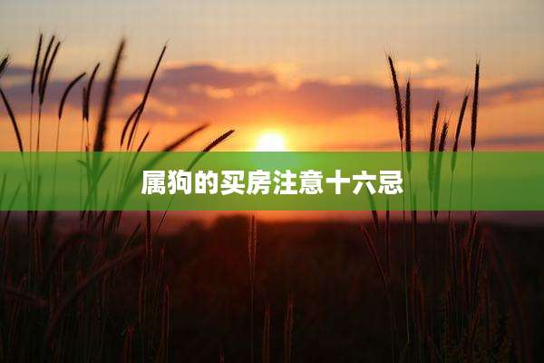 属狗的买房注意十六忌