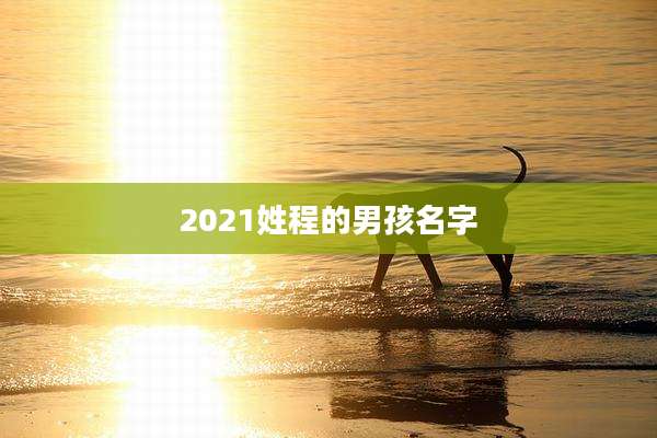 2021姓程的男孩名字