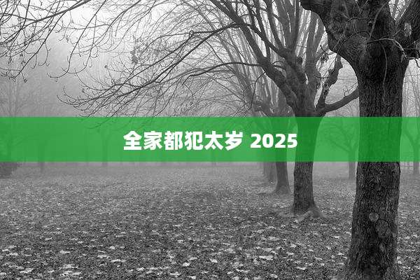 全家都犯太岁 2025
