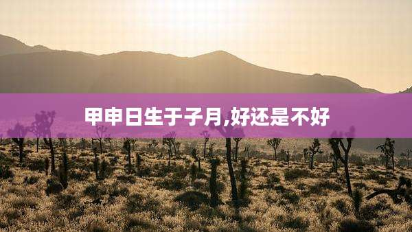甲申日生于子月,好还是不好