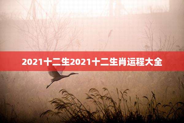 2021十二生2021十二生肖运程大全