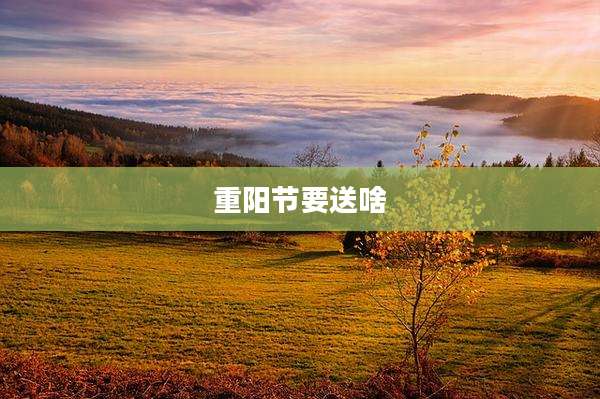 重阳节要送啥