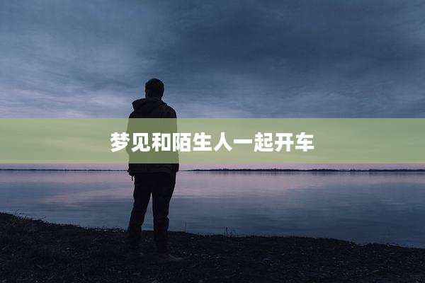 梦见和陌生人一起开车
