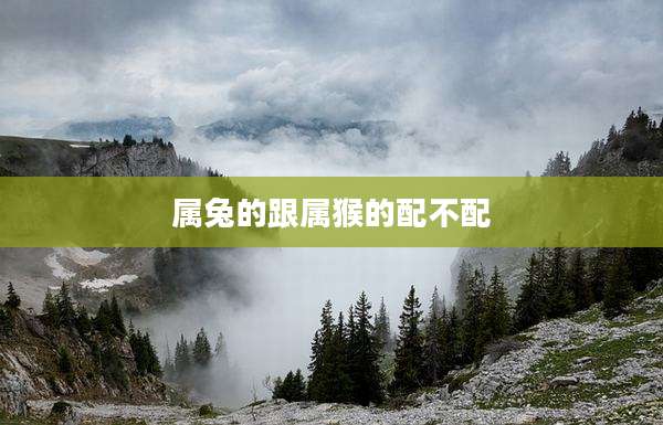 属兔的跟属猴的配不配