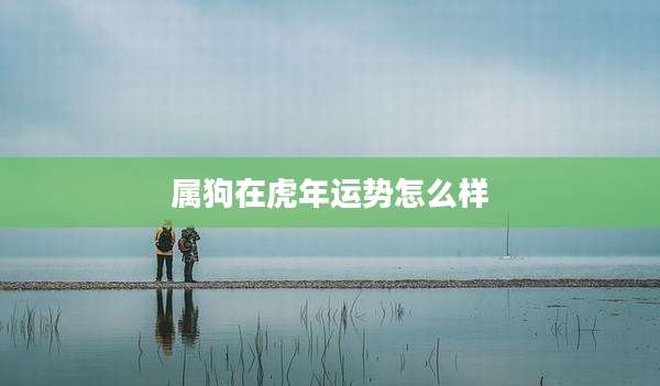 属狗在虎年运势怎么样