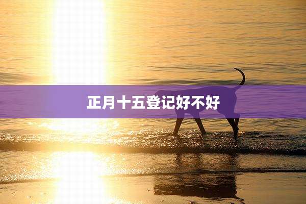 正月十五登记好不好