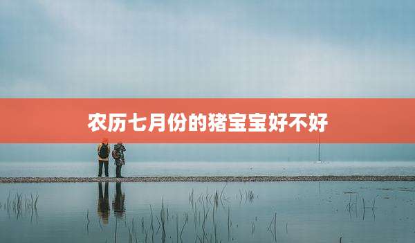 农历七月份的猪宝宝好不好