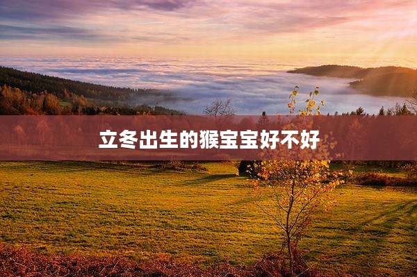立冬出生的猴宝宝好不好
