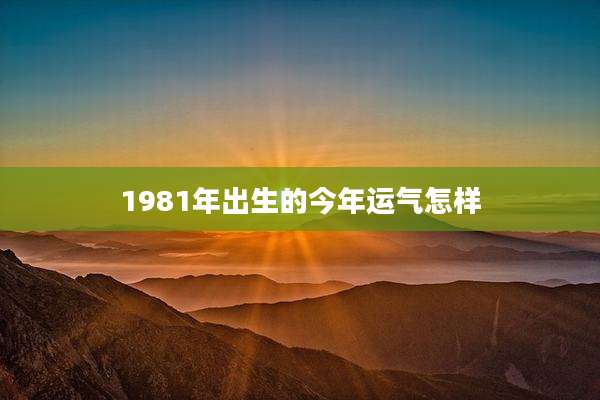 1981年出生的今年运气怎样