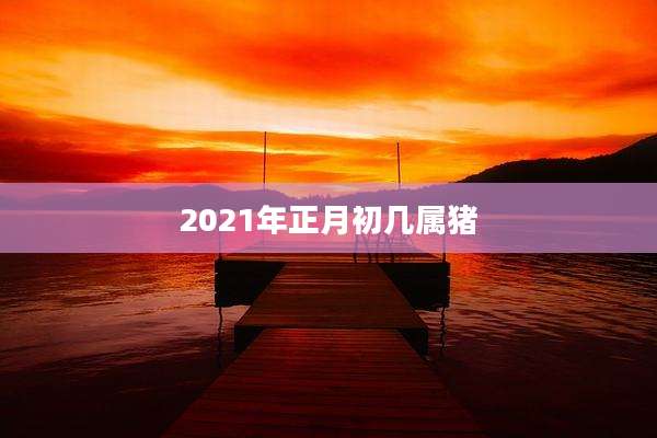 2021年正月初几属猪