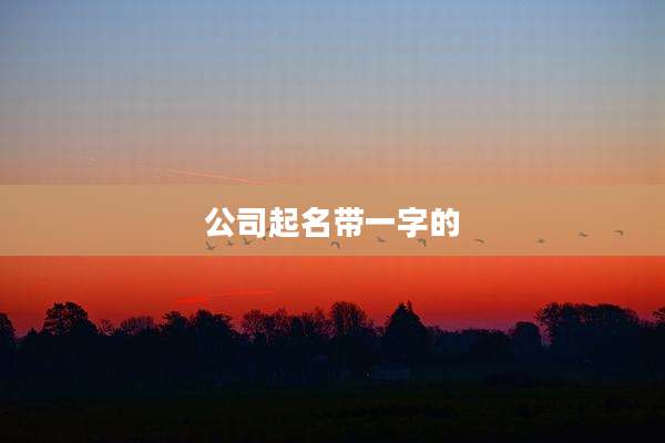 公司起名带一字的