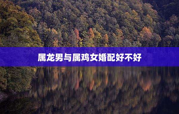 属龙男与属鸡女婚配好不好