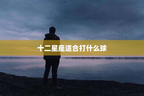 十二星座适合打什么球