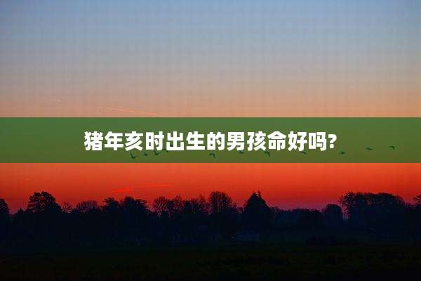 猪年亥时出生的男孩命好吗?