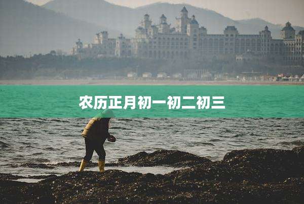 农历正月初一初二初三