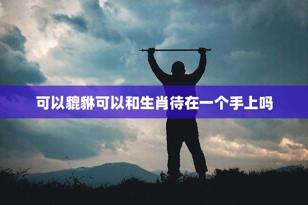 可以貔貅可以和生肖待在一个手上吗